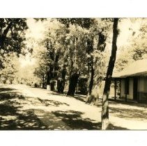 Lhm P. Ja.032.053.pstcrd